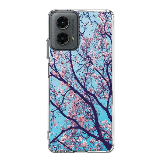 Arizona Gorgeous Spring Blossom Motorola Moto G 5G 2024 Case