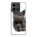 Finger British Shorthair Cat Motorola Moto G 2025 Case