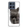 Finger British Shorthair Cat Motorola Moto G 2026 Case