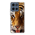 Tiger Eye Motorola Moto G 2026 Case