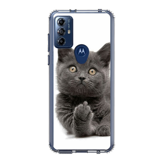 Finger British Shorthair Cat Motorola Moto G Play 2023 Case