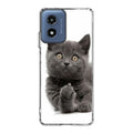 Finger British Shorthair Cat Motorola Moto G Play 2024 Case