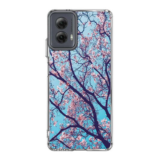 Arizona Gorgeous Spring Blossom Motorola Moto G Power 5G 2024 Case