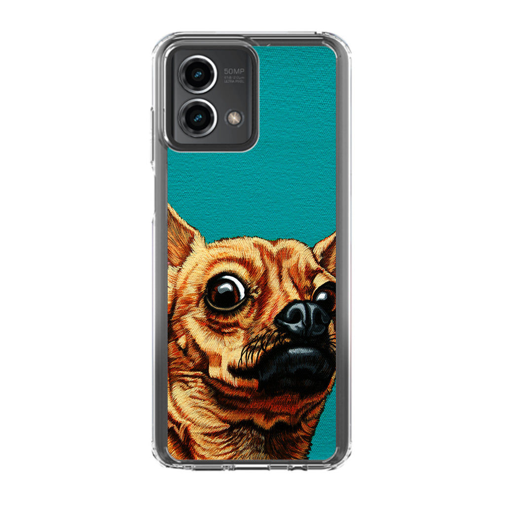 Chihuahua Art Motorola Moto G Stylus 5G 2023 Case