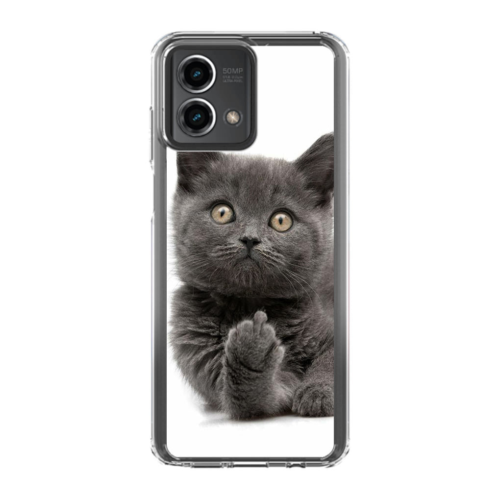 Finger British Shorthair Cat Motorola Moto G Stylus 5G 2023 Case