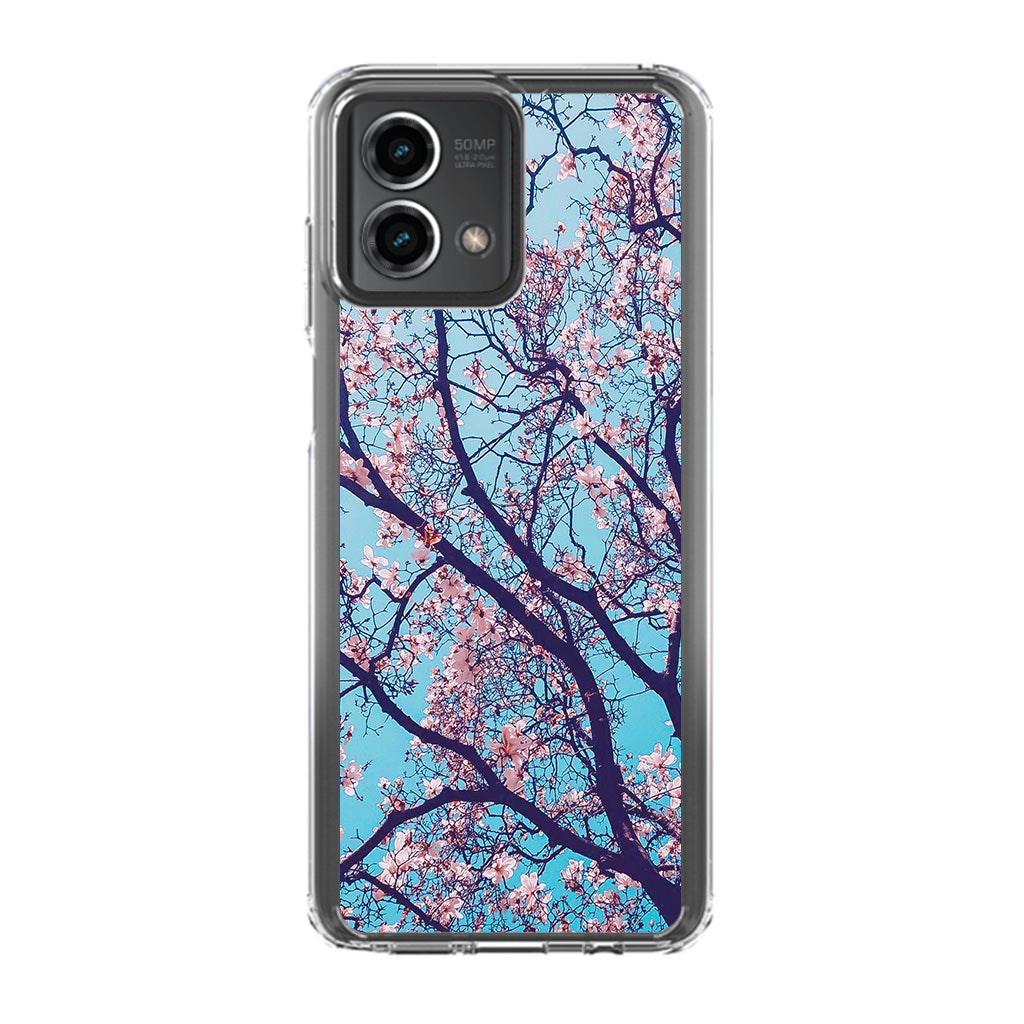 Arizona Gorgeous Spring Blossom Motorola Moto G Stylus 5G 2023 Case
