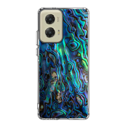 Abalone Motorola Moto G Stylus 5G 2024 Case