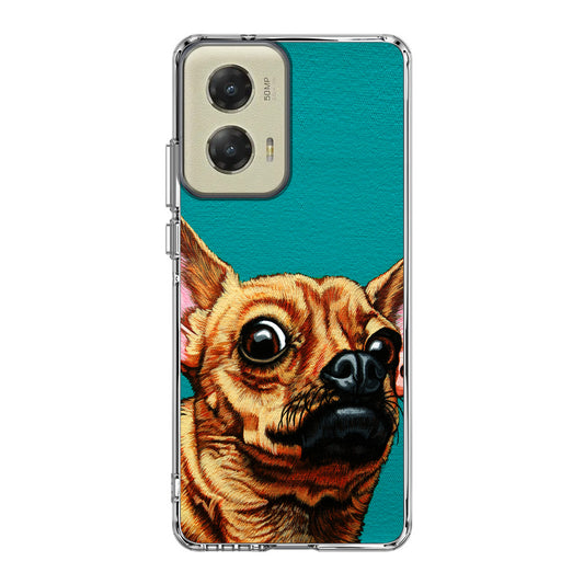 Chihuahua Art Motorola Moto G Stylus 5G 2024 Case