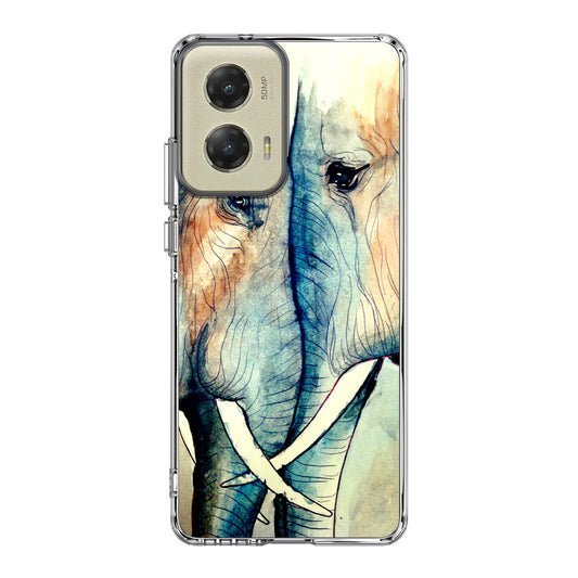 Elephants Sadness Motorola Moto G Stylus 5G 2024 Case
