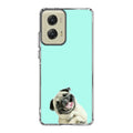 Laughing Pug Motorola Moto G Stylus 5G 2024 Case
