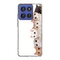 Cute Cats Vertical Motorola Moto G Stylus 2025 Case