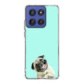 Laughing Pug Motorola Moto G Stylus 2025 Case