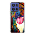 Pitbull Painting Art Motorola Moto G Stylus 2025 Case