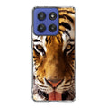 Tiger Eye Motorola Moto G Stylus 2025 Case