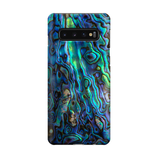 Abalone Galaxy S10 Case