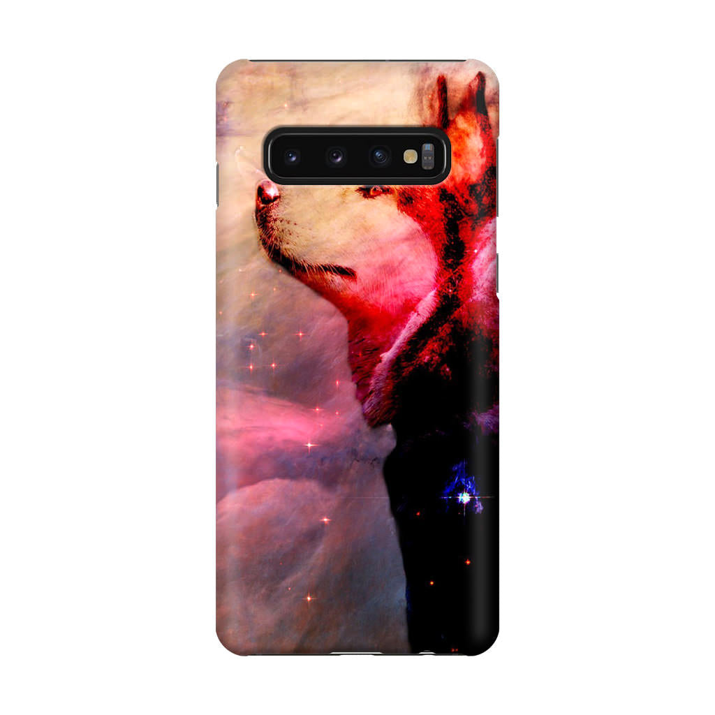 Dog Universe Galaxy S10 Case