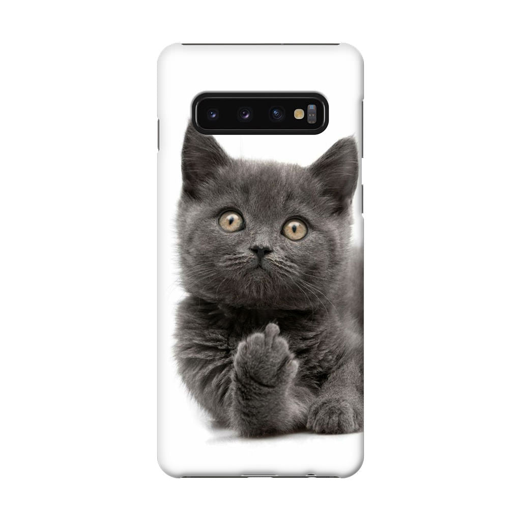 Finger British Shorthair Cat Galaxy S10 Case