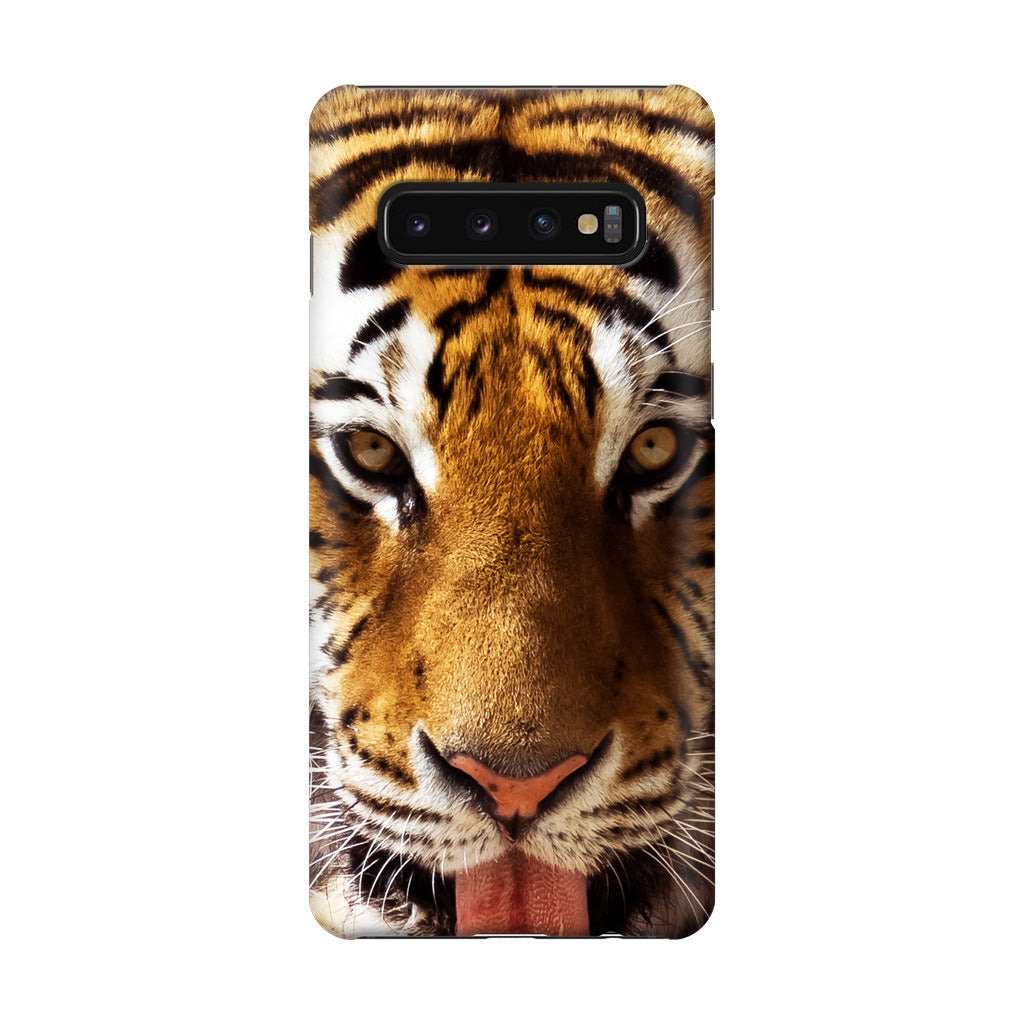 Tiger Eye Galaxy S10 Case