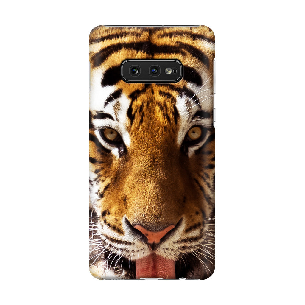 Tiger Eye Galaxy S10e Case