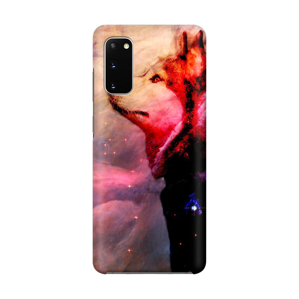 Dog Universe Galaxy S20 Case