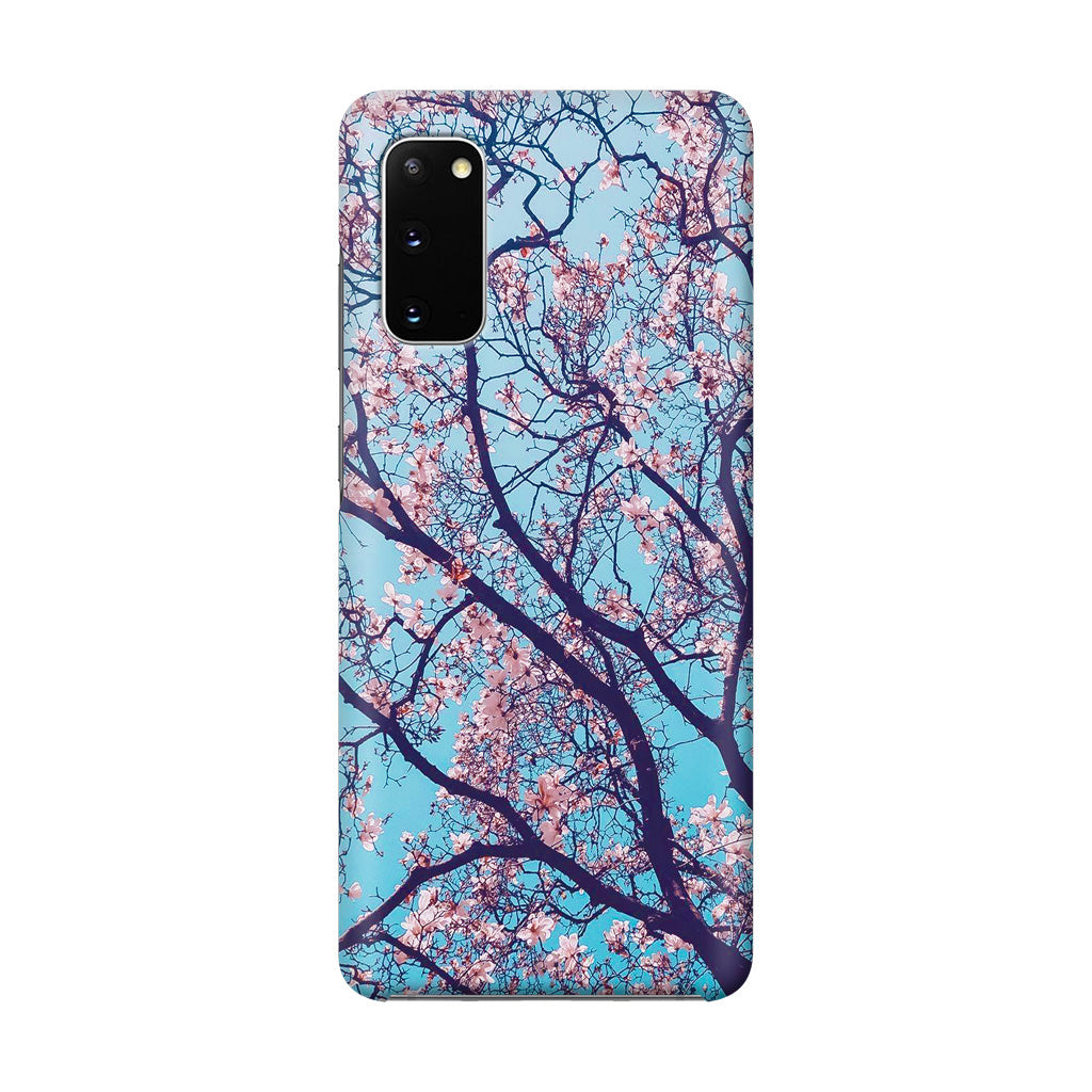 Arizona Gorgeous Spring Blossom Galaxy S20 Case