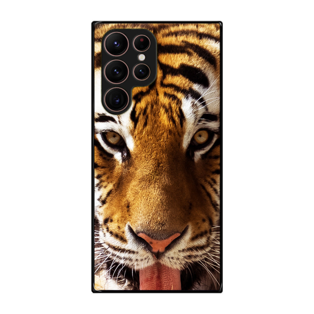 Tiger Eye Galaxy S22 Ultra 5G Case