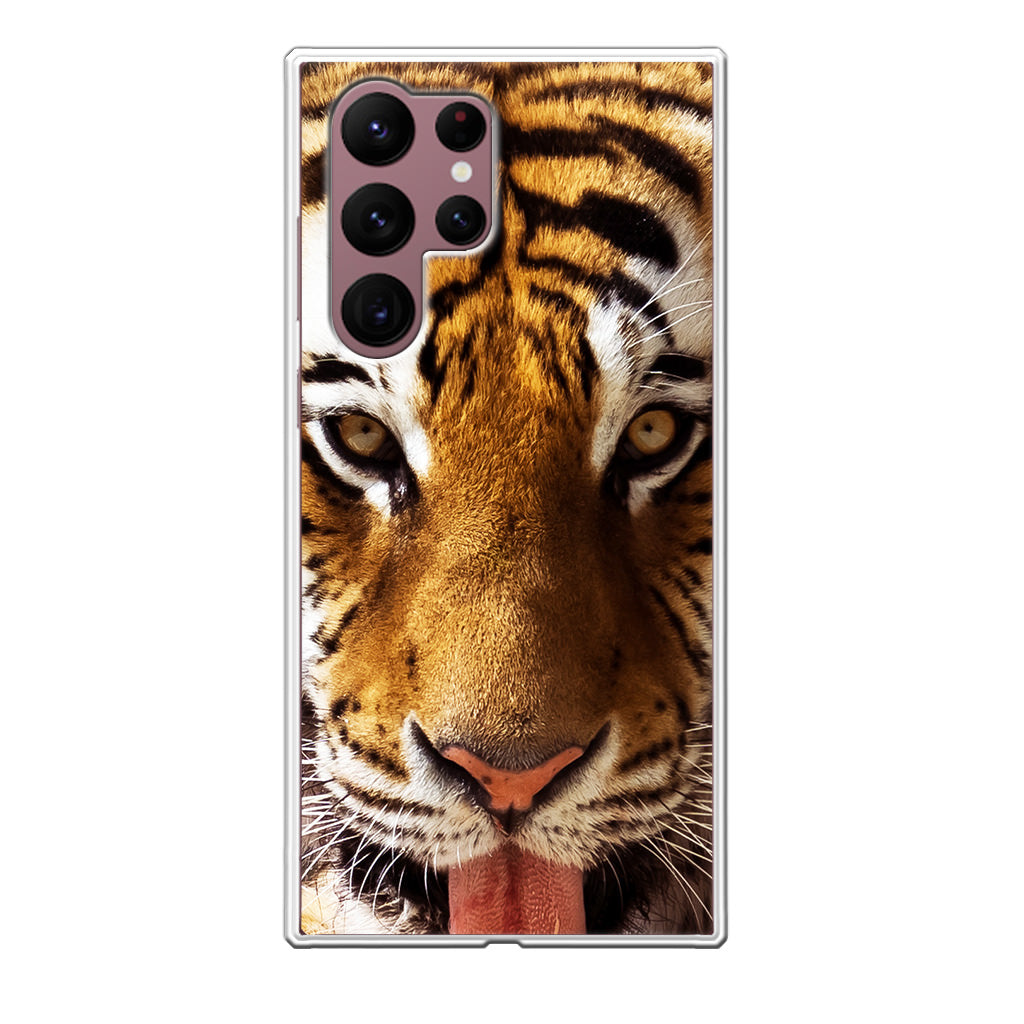 Tiger Eye Galaxy S22 Ultra 5G Case