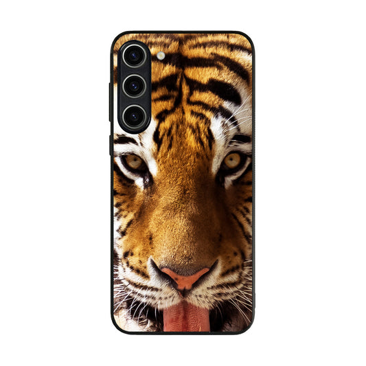 Tiger Eye Samsung Galaxy S23 / S23 Plus Case
