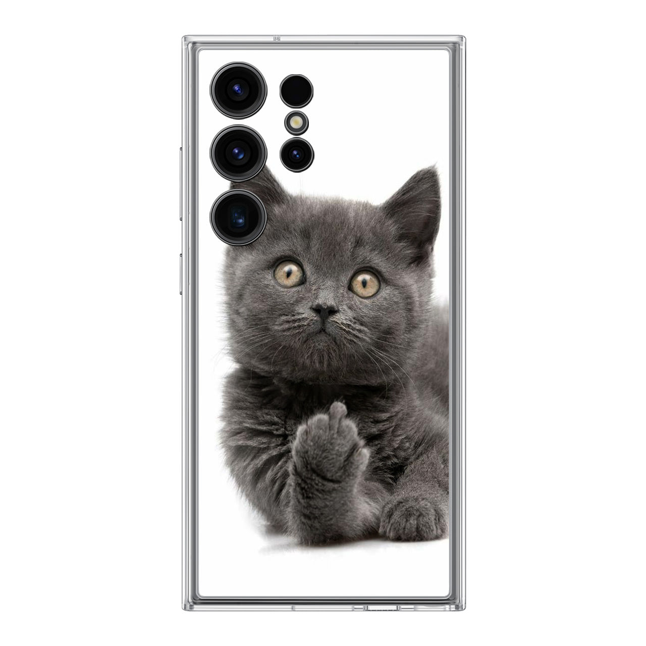 Finger British Shorthair Cat Samsung Galaxy S24 Ultra Case