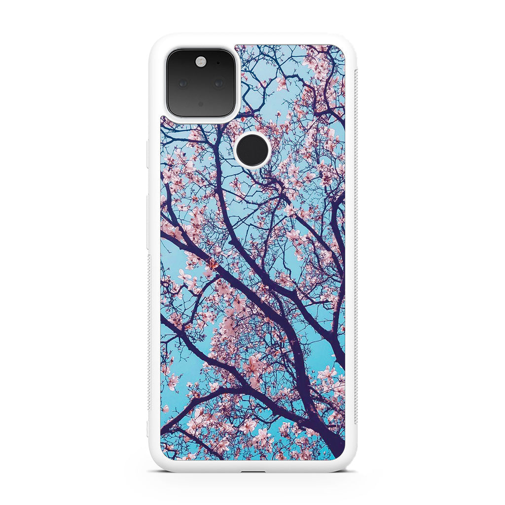 Arizona Gorgeous Spring Blossom Google Pixel 5 Case