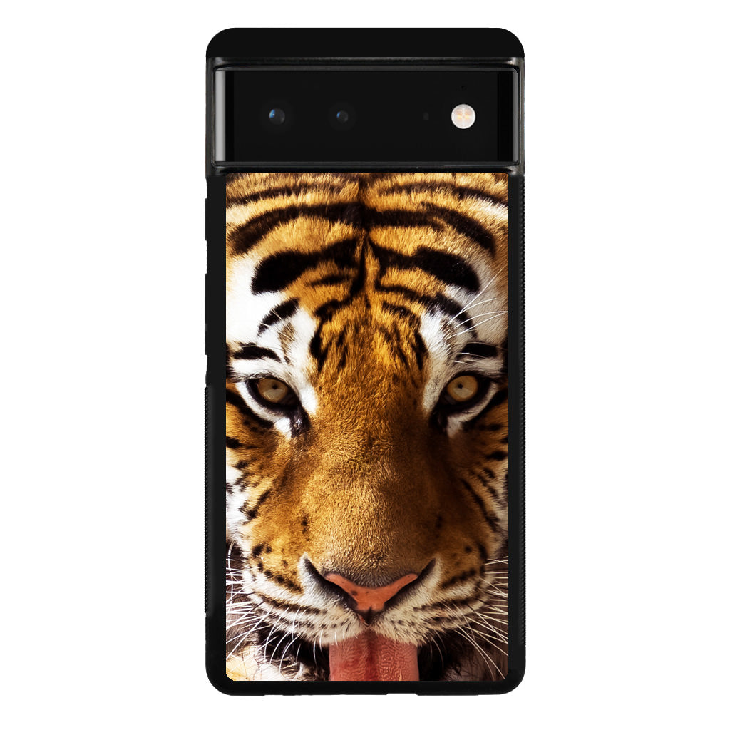 Tiger Eye Google Pixel 6 Case