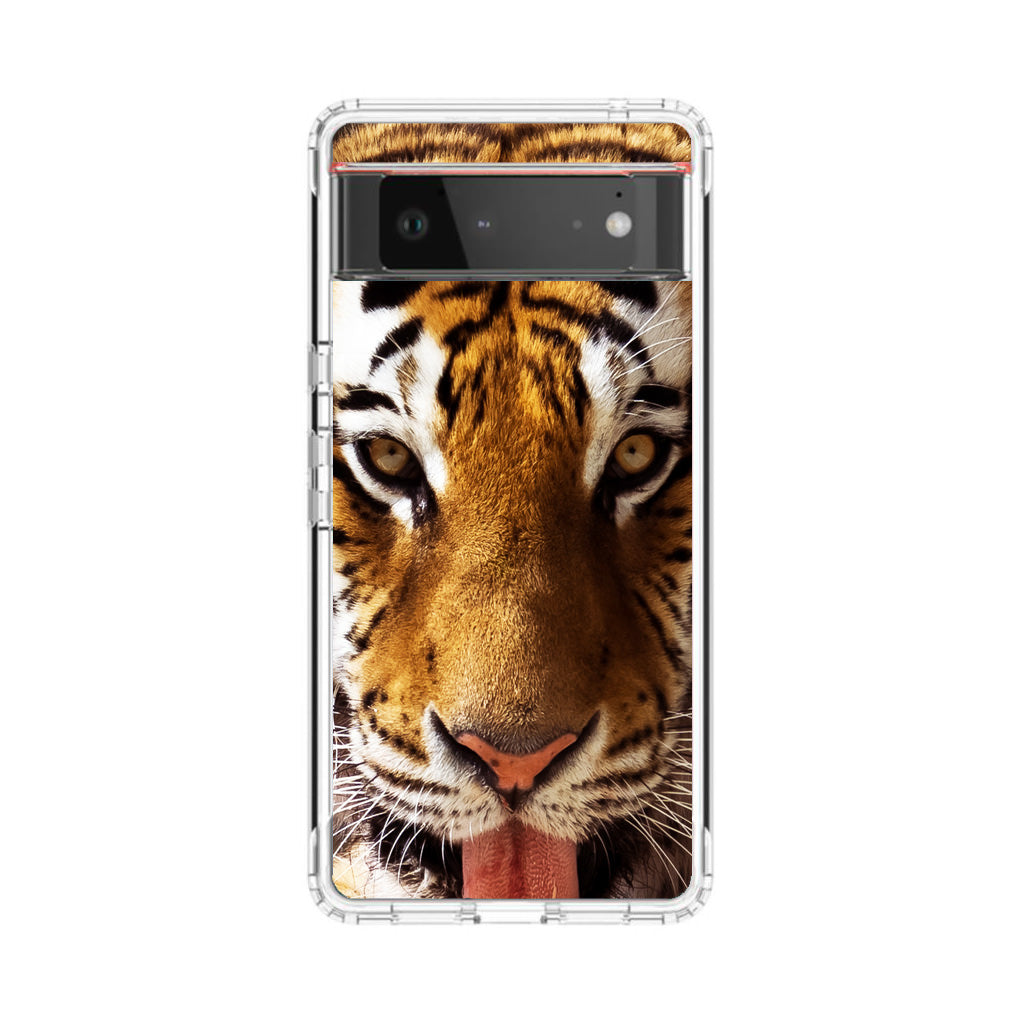 Tiger Eye Google Pixel 6 Case