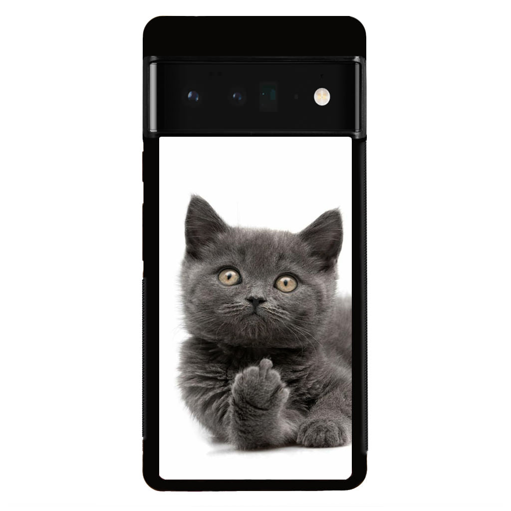 Finger British Shorthair Cat Google Pixel 6 Pro Case