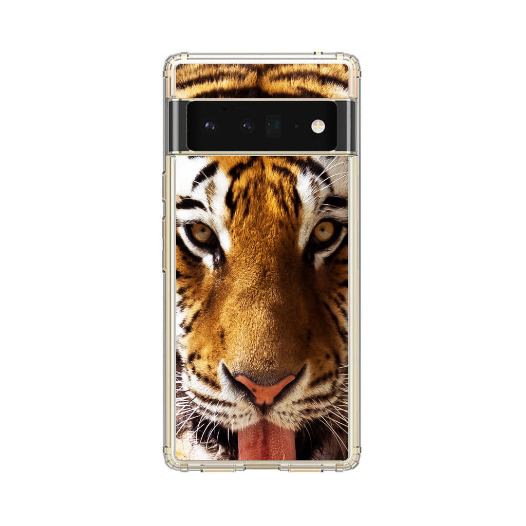 Tiger Eye Google Pixel 6 Pro Case