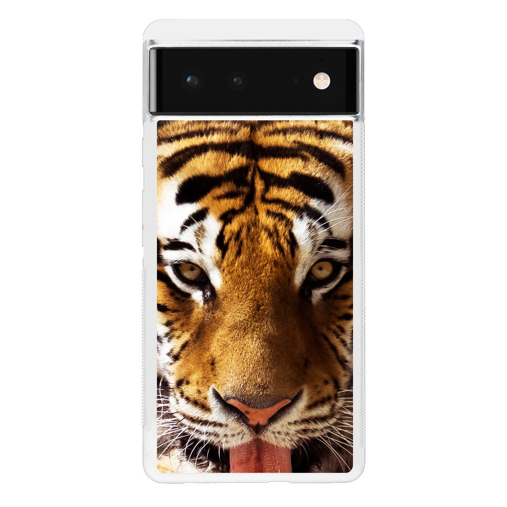 Tiger Eye Google Pixel 6 Case