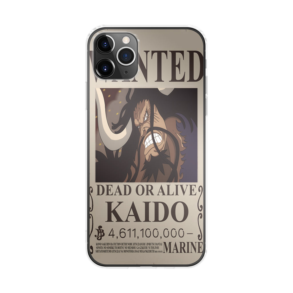 Kaido Bounty iPhone 11 Pro Case