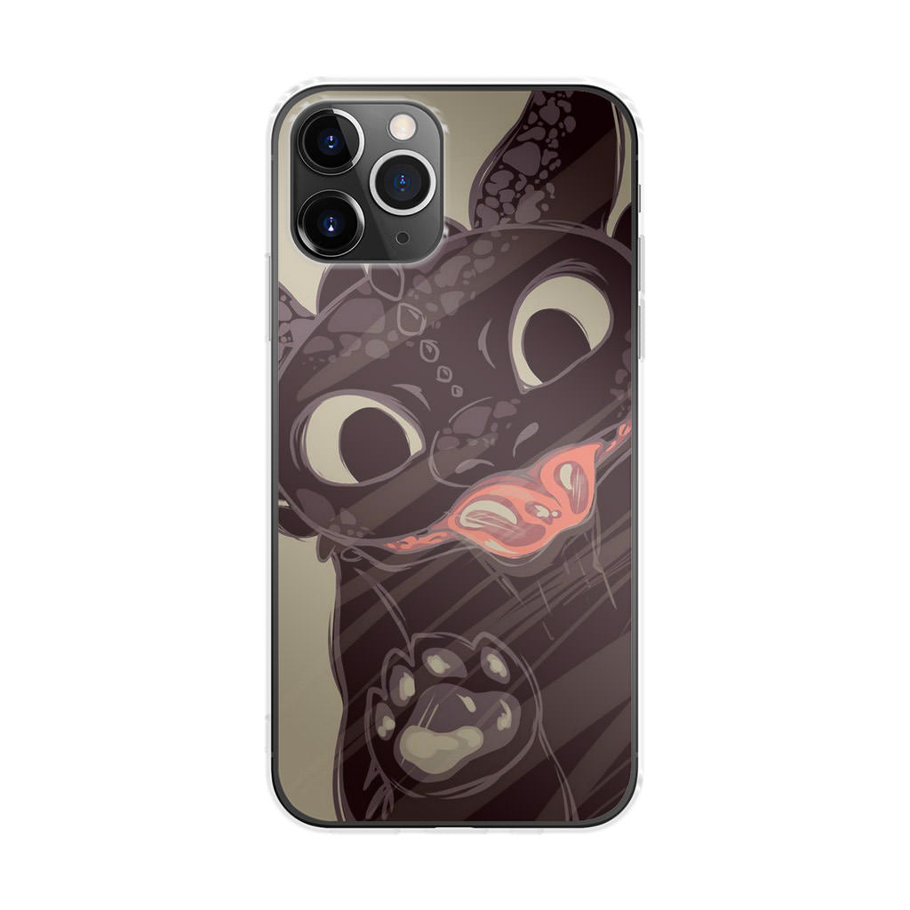 Toothless Dragon Art iPhone 11 Pro Case