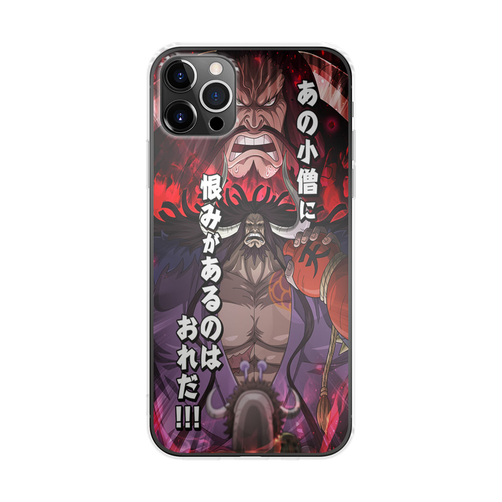 I Have A Grudge Kaido iPhone 12 Pro Max Case