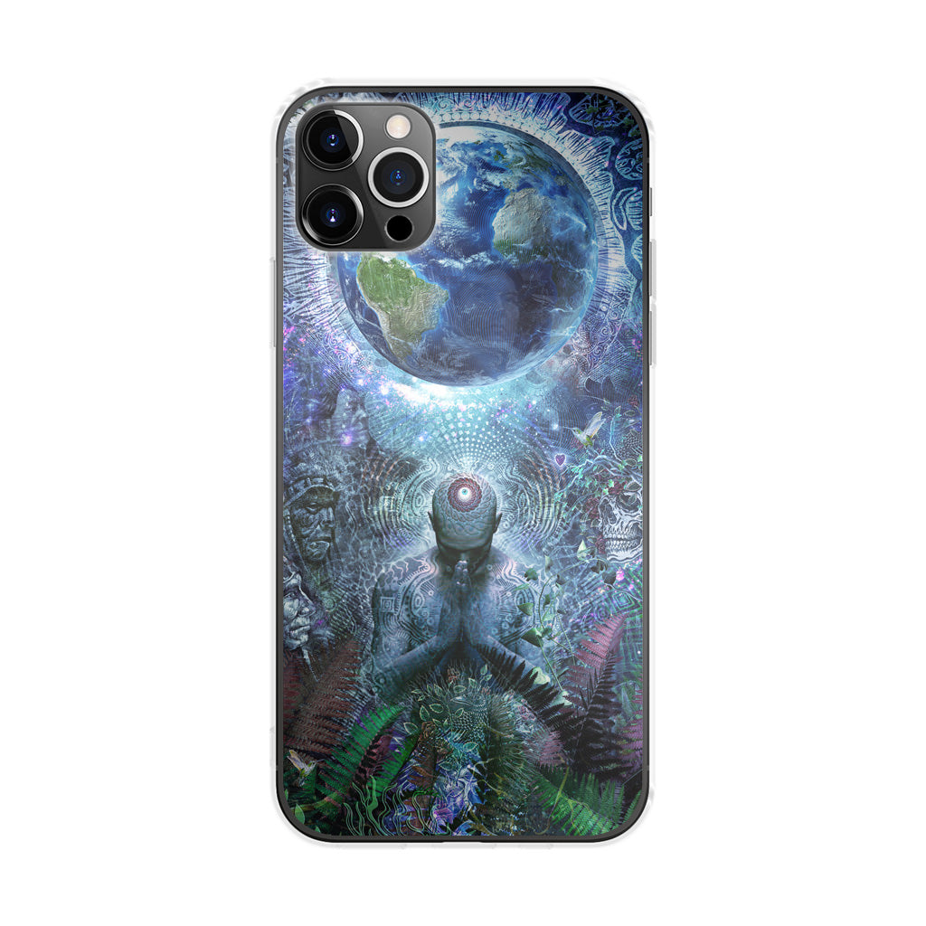 Gratitude For The Earth And Sky iPhone 12 Pro Max Case