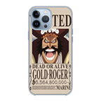 Gold Roger Bounty iPhone 13 Pro / 13 Pro Max Case