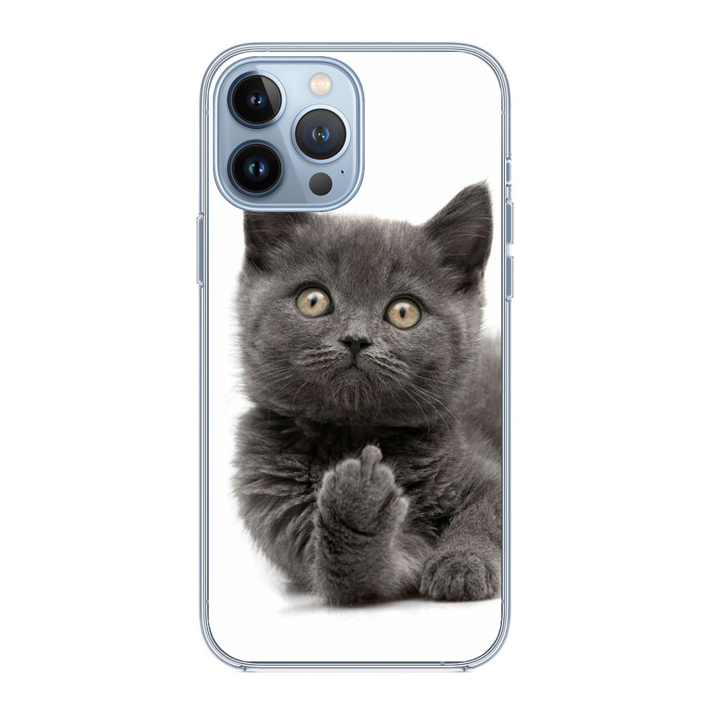 Finger British Shorthair Cat iPhone 13 Pro / 13 Pro Max Case