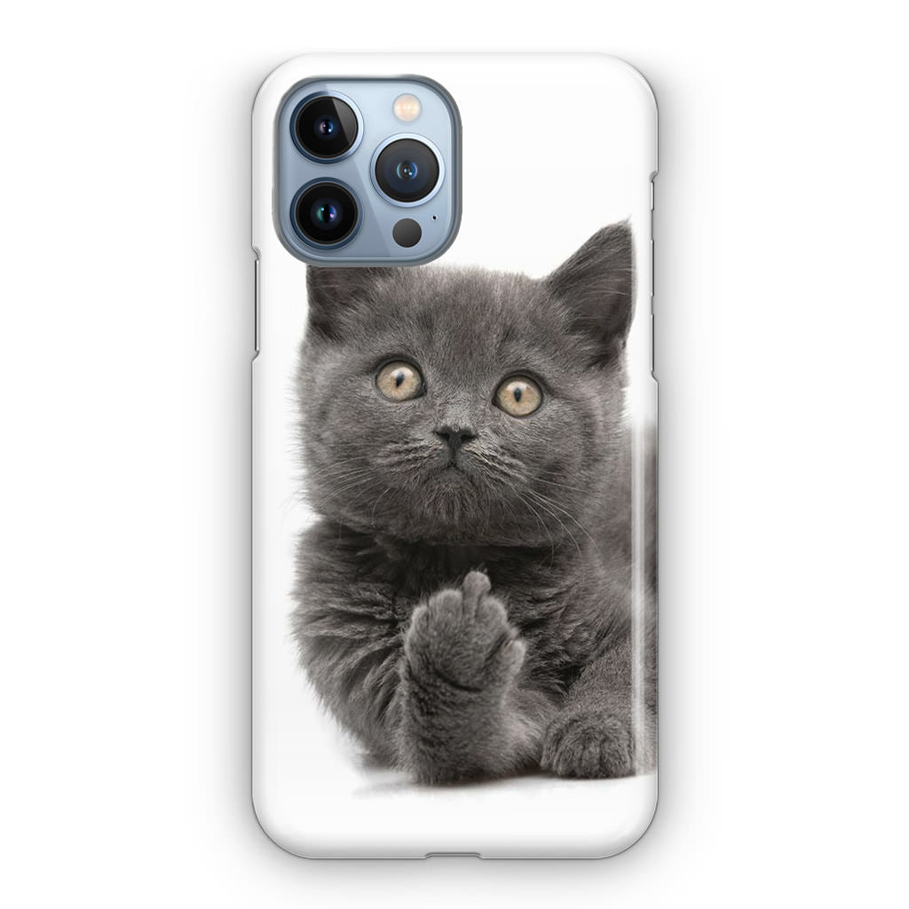 Finger British Shorthair Cat iPhone 13 Pro / 13 Pro Max Case