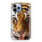Tiger Eye iPhone 13 Pro / 13 Pro Max Case