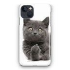 Finger British Shorthair Cat iPhone 13 / 13 mini Case
