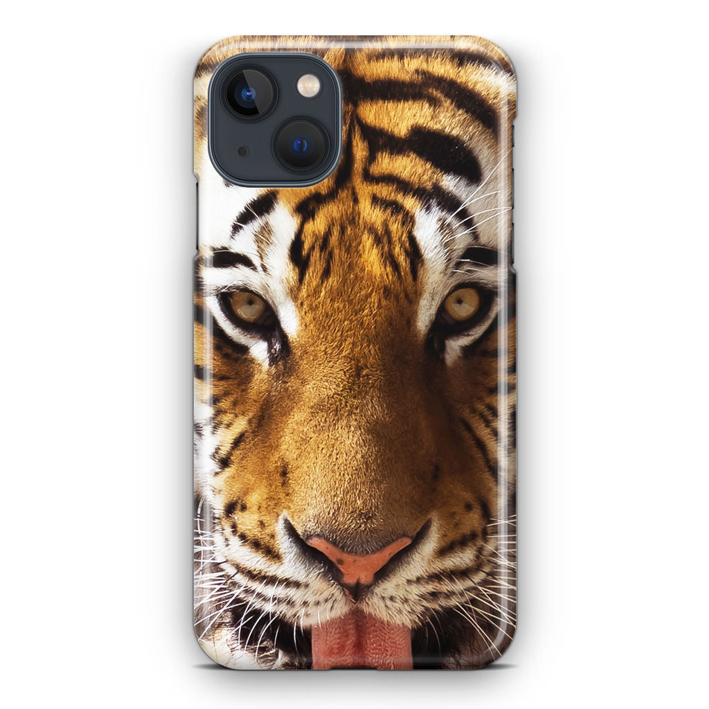 Tiger Eye iPhone 13 / 13 mini Case