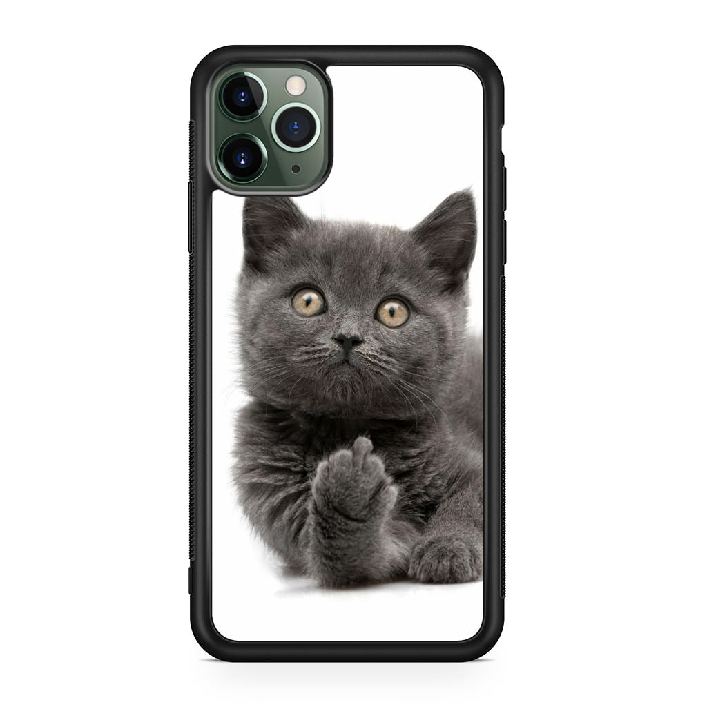 Finger British Shorthair Cat iPhone 11 Pro Case