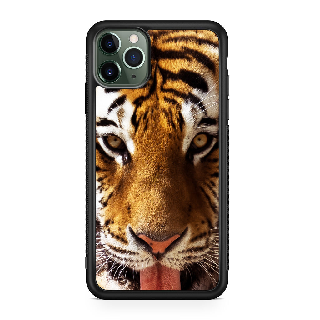 Tiger Eye iPhone 11 Pro Case