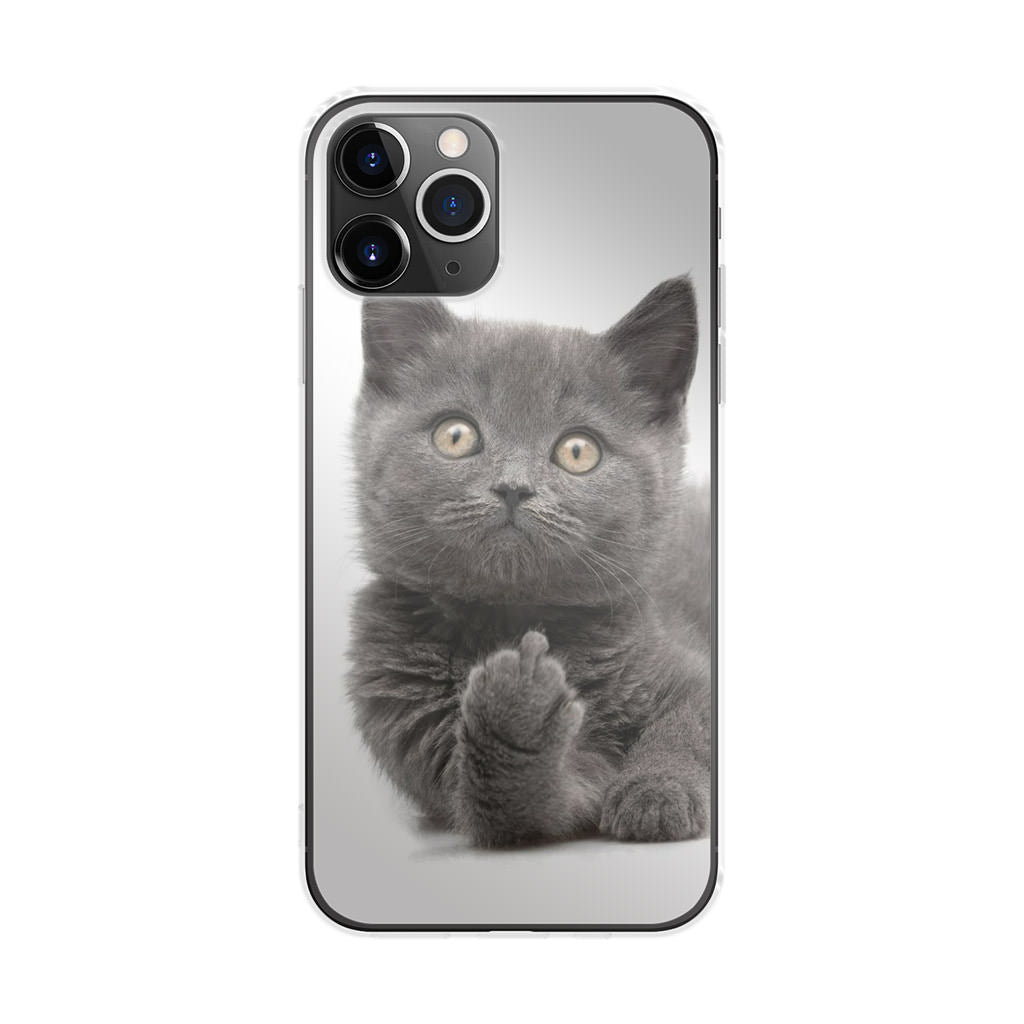 Finger British Shorthair Cat iPhone 11 Pro Case