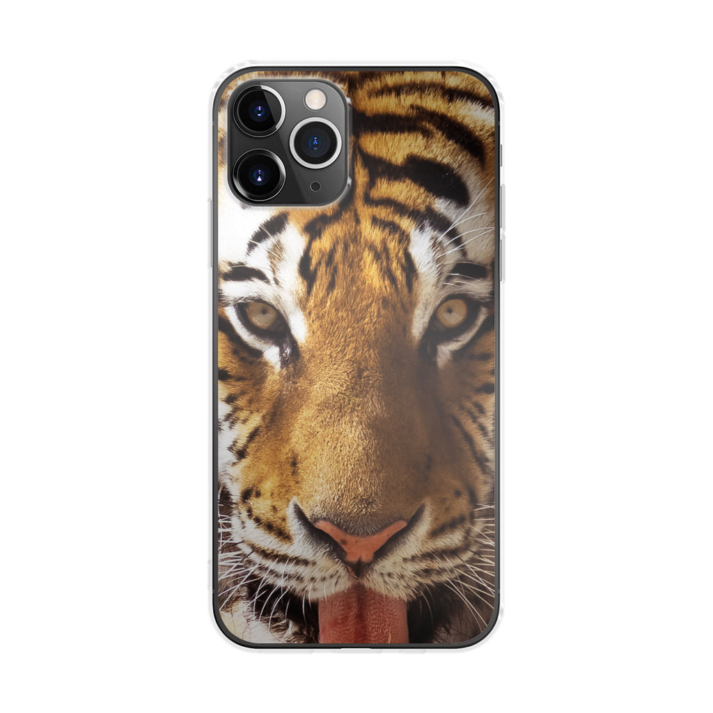 Tiger Eye iPhone 11 Pro Case