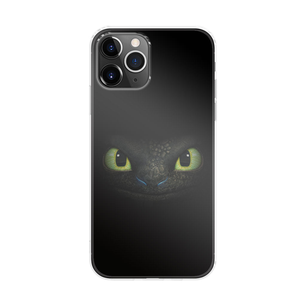 Toothless Dragon Sight iPhone 11 Pro Case